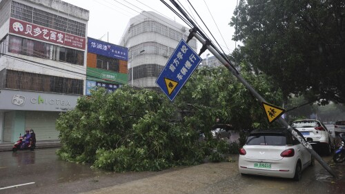 In this photo released by Xinhua News Agency, a fallen tree blocks a road amid the passage of Typhoon Talim in Qinzhou in southern China's Guangxi Zhuang Autonomous Region, Tuesday, July 18, 2023. (Hu Xingyu/Xinhua via AP)