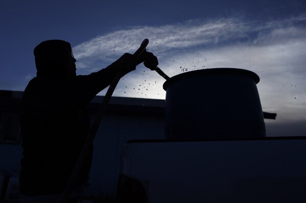 Jay Begay fills up a barrel with water for his sheep and other animals at his home Sunday, Oct. 30, 2022, in the community of Rocky Ridge, Ariz., on the Navajo Nation. Climate change, permitting issues and diminishing interest among younger generations are leading to a singular reality: Navajo raising fewer sheep. (AP Photo/John Locher)