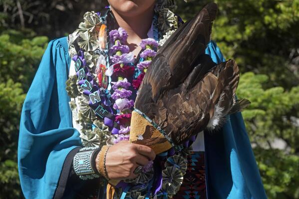 Native American Eagle Feather Fan