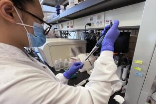 Emily Lu, estudiante de ciencia medioambiental en Ohio State, trata de extraer ácido ribonucleico (ARN) de una muestra de aguas residuales para buscar restos de coronavirus, el 23 de marzo de 2022 en un laboratorio del centro en Columbus, Ohio. (AP Foto/Patrick Orsagos)