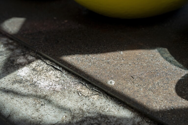 Ash from August's wildfire blankets Daniel Skousen's home on Friday, Nov. 3, 2023, in Lahaina, Hawaii. (AP Photo/Mengshin Lin)