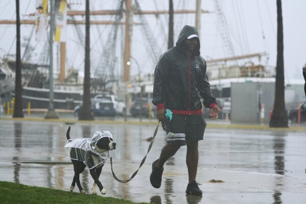 Local resident Cameron Filer shields his dog "Socks" with a full body rain coat as they walk home under a light rain across the Waterfront Park downtown San Diego, Calif., Sunday, Aug. 20, 2023. Tropical Storm Hilary swirled northward Sunday just off the coast of Mexico's Baja California peninsula, no longer a hurricane but still carrying so much rain that forecasters said "catastrophic and life-threatening" flooding is likely across a broad region of the southwestern U.S. (AP Photo/Damian Dovarganes)