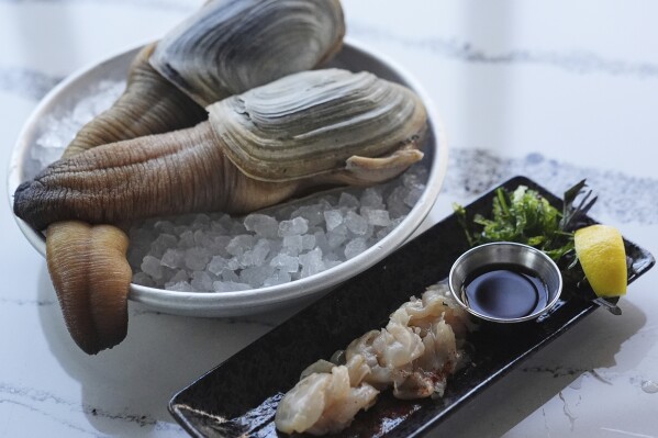 Two whole geoducks, left, are displayed with a sashimi preparation of the clam at right, at Chelsea Farms Oyster Bar in Olympia, Washington. (AP Photo/Lindsey Wasson)