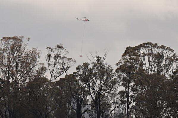 A helicopter drops water over a fire ground near Coolagalite, Australia, Wednesday, Oct. 4, 2023. Homes were destroyed by a forest fire and a man was injured by a falling tree in the Bega Valley region of southeast Australia, prompting a government leader to warn that a "horror" wildfire season was approaching. (Lukas Coch/AAP Image via AP)
