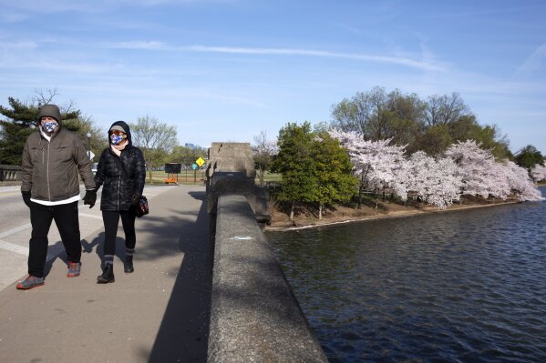 MLB - The D.C. Cherry Blossoms have arrived early this