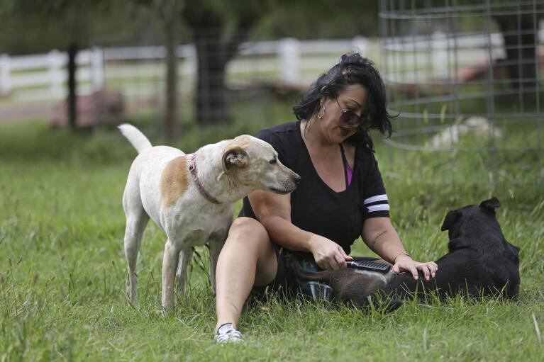 Johanna Fierstein sits with dogs Perseverance, aka "Percy", left and Aspen, at the Selah Carefarm in Cornville, Ariz., Oct. 4, 2022. As plans for Selah took shape, Joanne Cacciatore, who runs the farm, was reminded of the two dogs who stayed by her side even when the depths of her sorrow were too much for many friends. (AP Photo/Dario Lopez-Mills)