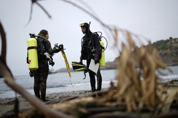 Scientific divers Rachael Karm, left, and Vini Souza talk on the beach after surveying a bull kelp reforestation project, Friday, Sept. 29, 2023, near Caspar, Calif. Kelp forests play an integral role in the health of the world’s oceans, one of the issues being discussed at the United Nations climate summit in Dubai. (AP Photo/Gregory Bull)
