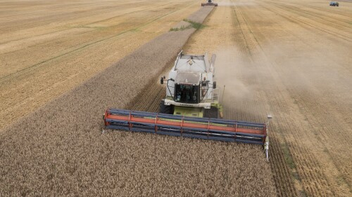 ARCHIVO - Varias cosechadoras recogen trigo en la localidad de Zghurivka, Ucrania, el 9 de agosto de 2022. Hay una creciente preocupación de que Rusia no amplíe el acuerdo mediado por Naciones Unidas que permite que el grano de Ucrania siga llegando a zonas del mundo que sufren hambre. Ya no hay barcos que se dirijan a los puertos ucranianos del Mar Negro, y las exportaciones de comida se han reducido a un goteo.(AP Foto/Efrem Lukatsky, Archivo)