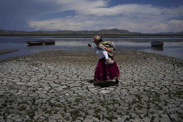 ARCHIVO - Maruja Inquila camina por una parte seca del lago Titicaca en Cuata, Perú, el miércoles 29 de noviembre de 2023, en medio de una ola de calor.  Los últimos cálculos publicados por varias agencias científicas el viernes 12 de enero de 2024 indican que las temperaturas medias globales para 2023 batirán los récords de calor actuales.  (Foto AP/Martín Mejía, Archivo)