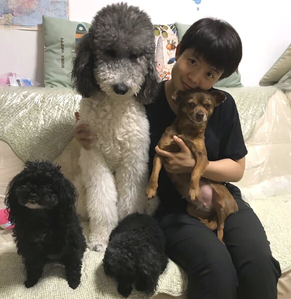 In this photo released by Chinese nurse Zhang Dan, she holds Doudou, right, to pose for photos with her other dogs at home in Changchun city ini northeastern China's Jilin province Thursday, May 28, 2020. Zhang was among the first to respond when the coronavirus epicenter of Wuhan needed help. Shipped out in early February, the 36-year-old nurse worked grueling days in heavy layers of protective gear, ministering to patients who needed assistance from breathing to eating as the coronavirus raged. Amid the emotional and physical trauma, a little street dog helped her through. (Zhang Dan via AP)