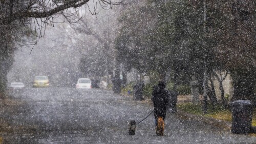 Un hombre pasea a sus perros durante una tormenta de nieve, el lunes 10 de julio de 2023, en Johannesburgo, Sudáfrica.  Una rara ola de frío ha golpeado a Johannesburgo, bajando las temperaturas a cero.  (Foto AP/Jerome tarde)
