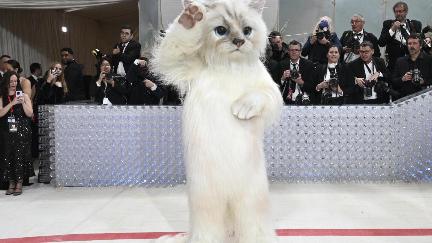 Inside the Met Gala A furry feline star, a tardy Cinderella AP News