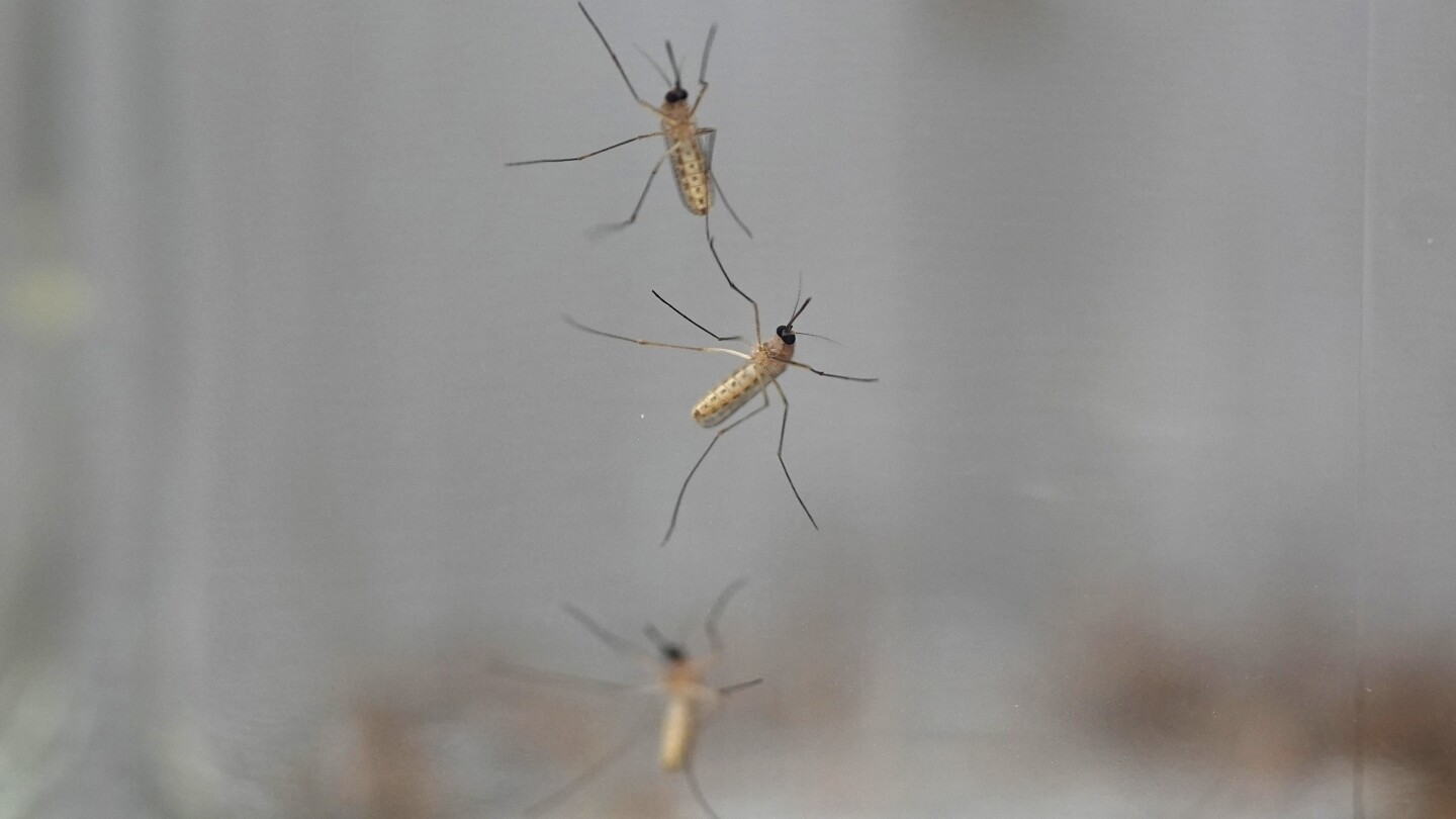 Какво да търсите при репелентите против комари