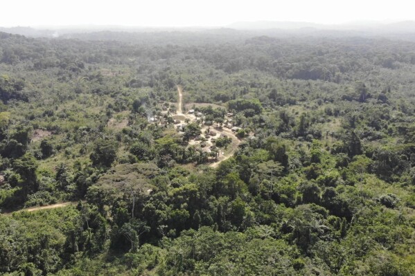 Yarkpa Town stands out in the surrounding rainforest in Rivercess County, Southeast Liberia, Wednesday, March 6, 2024. In the past year, the Liberian government has agreed to sell about 10% of the West African country's land — equivalent to 10,931 square kilometers (4,220 square miles) — to Dubai-based company Blue Carbon to preserve forests that might otherwise be logged and used for farming, the primary livelihood for many communities. (AP Photo/Derick Snyder)
