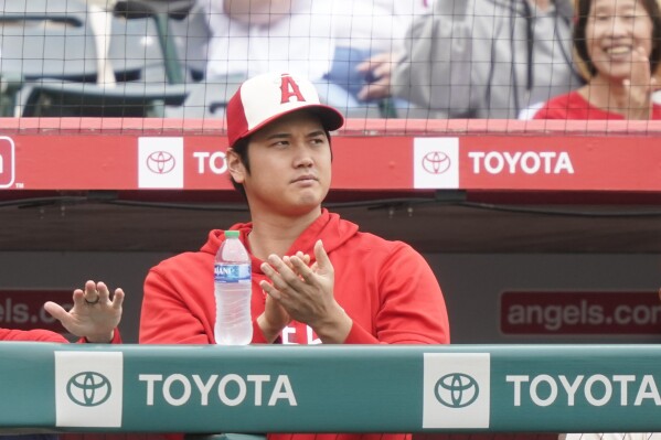 Los Angeles Angels' Shohei Ohtani watches from the dugout during the third inning of a baseball game against the Detroit Tigers, Sunday, Sept. 17, 2023, in Anaheim, Calif. (AP Photo/Ryan Sun)