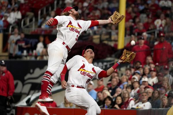 St. Louis Cardinals 2019 Recap - NL Central Champions 