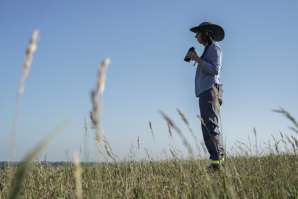 Sharon Kennedy, of Lincoln, Neb., looks for birds while on a grassland birds tour, Tuesday, June 20, 2023, in Denton, Neb. North America's grassland birds are deeply in trouble 50 years after adoption of the Endangered Species Act, with numbers plunging as habitat loss, land degradation and climate change threaten what remains of a once-vast ecosystem. (AP Photo/Joshua A. Bickel)
