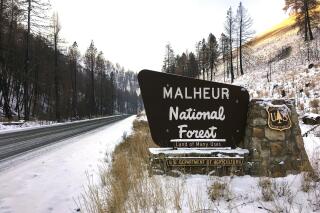 FILE - This Dec. 7, 2016 photo, shows the entrance to the Malheur National Forest near John Day, Ore. Rick Snodgrass, the U.S. Forest Service “burn boss,” was arrested Wednesday, Oct. 19, 2022, by a county sheriff after a planned burn at Malheur National Forest spread onto private land. He was conditionally released. Prescribed burns are set intentionally and under carefully controlled conditions to clear underbrush, pine needle beds and other surface fuels that make forests more prone to wildfires. (AP Photo/Andrew Selsky, File)