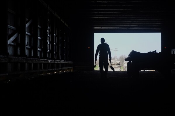 Fredy Osorio, a contract worker from Veracruz, Mexico, carries tools back while doing maintenance inside a tobacco barn, Tuesday, March 12, 2024, at a fam in Crofton, Ky. The latest U.S. agricultural census data shows an increase in the proportion of farms utilizing contract labor compared to those hiring labor overall. (AP Photo/Joshua A. Bickel)