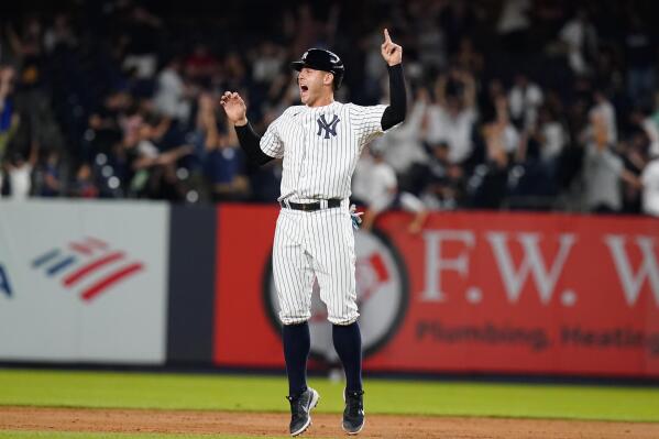 Donaldson hits walk-off slam for the Yankees - Taipei Times