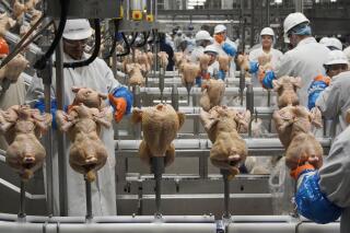 FILE - In this Dec. 12, 2019, file photo workers process chickens at a poultry plant, in Fremont, Neb. Federal health officials are rethinking their approach to controlling salmonella in poultry plants in the hope of reducing the number of illnesses linked to the bacteria each year. The USDA says the industry has succeeded in reducing the level of salmonella contamination found in poultry plants in recent years, but that hasn’t translated into a significant reduction in the 1.35 million salmonella illnesses reported each year.(AP Photo/Nati Harnik, File)