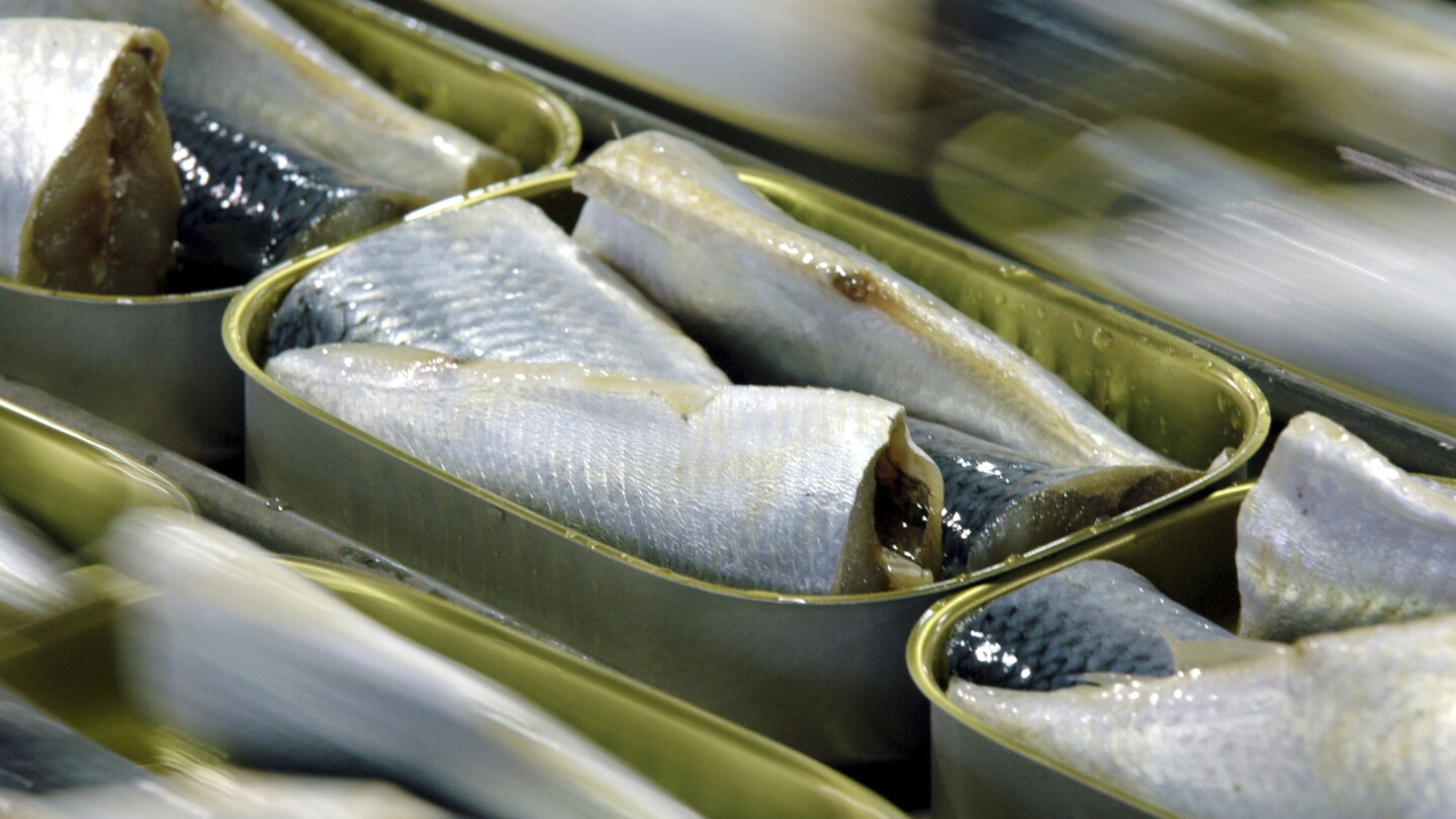 Historic Sardine Boat Sinks off Maine Coast