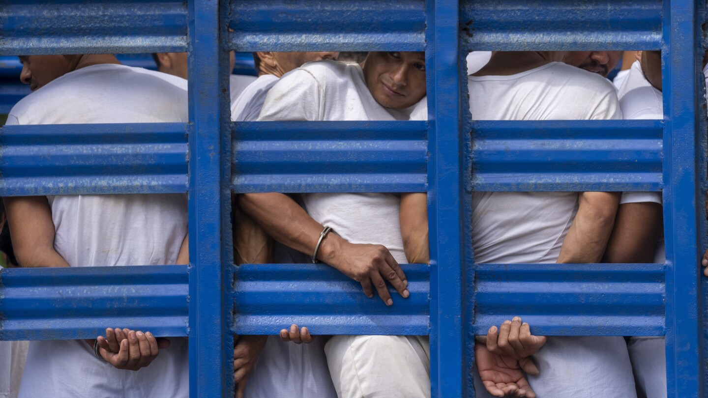 Най-малко 241 души са загинали в затворите в Ел Салвадор по време на „войната срещу бандите“, казва правозащитната група