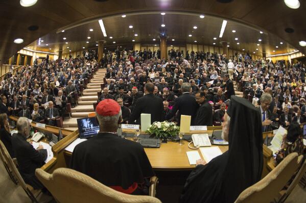 Cardinals follow a press conference to present Pope Francis' encyclical "Laudato Si," (Praise Be), at the Vatican, June 18, 2015. (L'Osservatore Romano/Pool Photo via AP File)