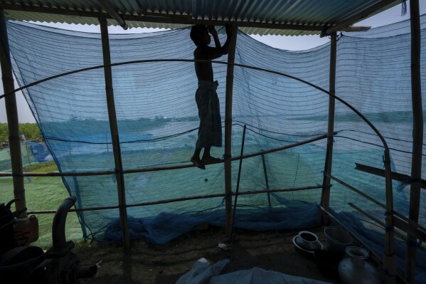 Musikur Alam, 14, fixes a mosquito net after reaching higher ground near the floodwaters in Sandahkhaiti, a floating island village in the Brahmaputra River in Morigaon district, Assam, India, Wednesday, Aug. 30, 2023. (APPhoto/Anupam Nath)