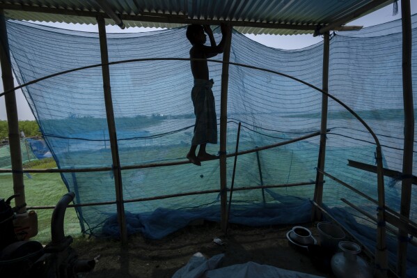 Musikur Alam, 14, fixes a mosquito net after reaching higher ground near the floodwaters in Sandahkhaiti, a floating island village in the Brahmaputra River in Morigaon district, Assam, India, Wednesday, Aug. 30, 2023. (AP Photo/Anupam Nath)