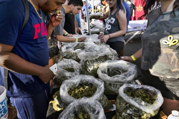 
              FILE - In this Oct. 20, 2018, file photo, a customer takes a sniff test from the selection of marijuana strains at Miyagi LA booth at the cannabis-themed Kushstock Festival at Adelanto, Calif. When California voters broadly legalized marijuana in 2016, they were promised that part of the tax revenue from pot sales would be devoted to programs to teach youth how to avoid substance abuse and "prevent harm" from marijuana use. But more than a year after the start of sales, there's no money for those programs and looming questions about how they might operate in the future. (AP Photo/Richard Vogel, File)
            