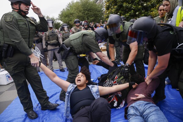 Os manifestantes são levados sob custódia enquanto as autoridades limpam um acampamento de estudantes pró-palestinos na Universidade do Texas, no Dallas Chess Plaza, quarta-feira, 1º de maio de 2024, em Richardson, Texas.  (AP via Juan Figueroa/The Dallas Morning News)