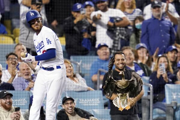 Dodgers lose to Padres in 2022 NLDS: Complete coverage - Los