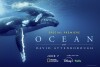 This movie poster provided by National Geographic shows “Ocean With David Attenborough.” (National Geographic via AP)