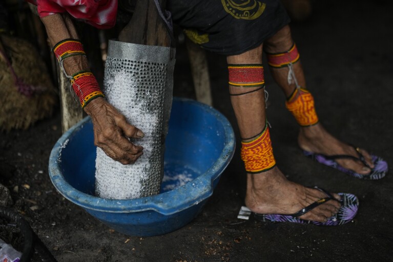 A woman grates coconut in Gardi Sugdub Island, part of the San Blas archipelago off Panama's Caribbean coast, Saturday, May 25, 2024. Due to rising sea levels, about 300 Guna Indigenous families will relocate to new homes, built by the government, on the mainland. (AP Photo/Matias Delacroix)