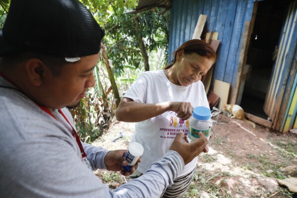 Lourdes Betancourt prepares a jar containing mosquito eggs to hang from a tree in her yard, in Tegucigalpa, Honduras, Wednesday, Aug. 23, 2023. (AP Photo/Elmer Martinez)