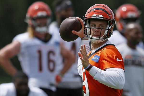 CINCINNATI, OH - NOVEMBER 28: A Cincinnati Bengals helmet sits