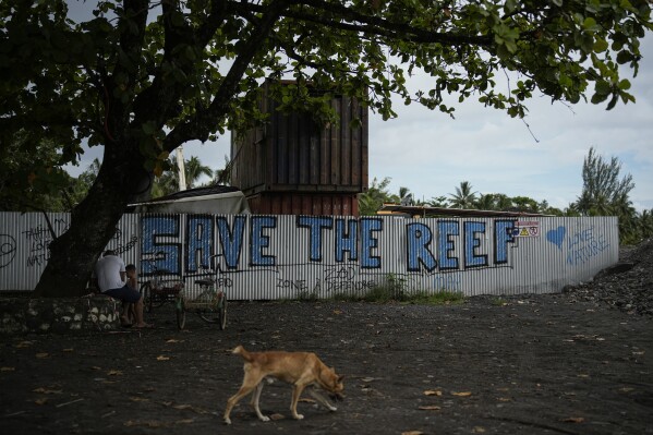 A stray dog walks by an Olympic Games construction site in Teahupo'o, French Polynesia in the Pacific Ocean, Thursday, Jan. 11, 2024. The decision to host part of the Olympic Games here has thrust unprecedented challenges onto a small community that has long cherished and strives to protect its way of life. (AP Photo/Daniel Cole)