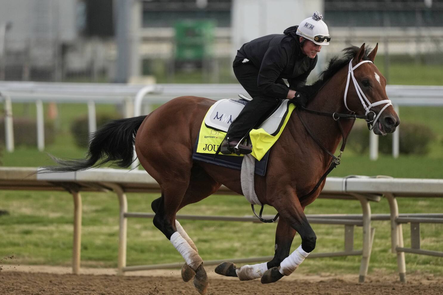 Journalism opens as the 8-5 morning line favorite for the 150th Preakness Stakes