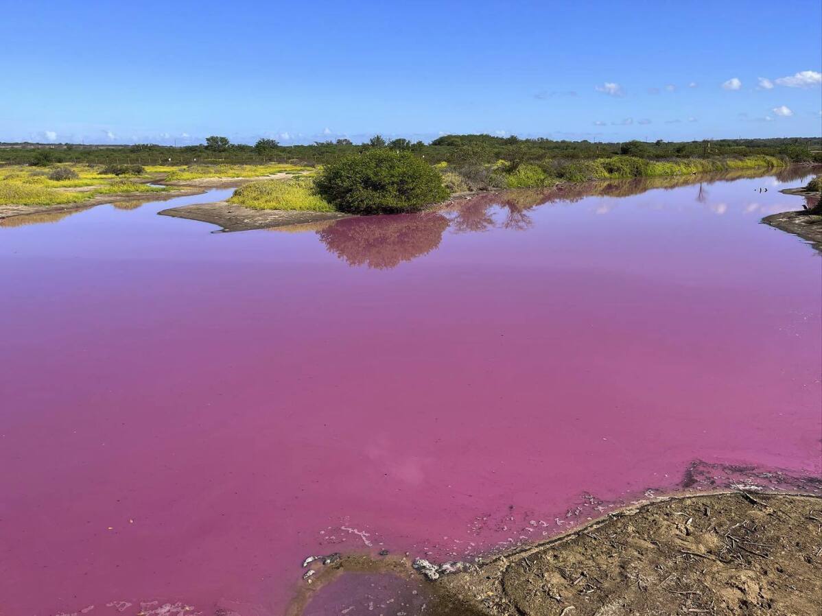 Соленые водоемы. Как называется водоëм который окрашивается в нежно-розовый цвет. Водоем который окрашивается в нежно розовый цвет