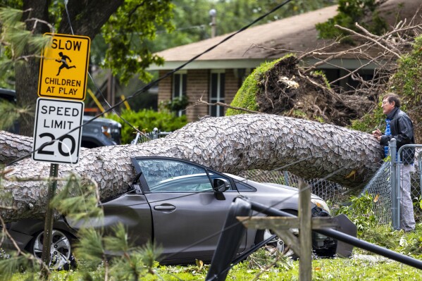 Michael Bray, right, of Slidell, looks at the pine tree that fell onto his car parked in front of his home on Thursday, April 11, 2024, the day after a tornado swept through the area. (Chris Granger/The Times-Picayune/The New Orleans Advocate via AP)