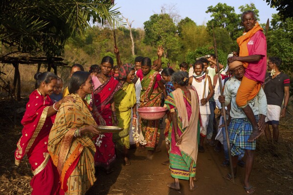 Members of the Durua tribe, part of India's Indigenous Adivasis communities, perform traditional dances during the Chaitra Parab festival, a month long harvest celebration in Pongan Pani village, Koraput district, in India's eastern state of Odisha, Wednesday, April 16, 2025. (AP Photo/Rafiq Maqbool)