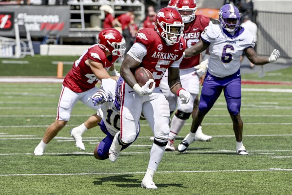 Arkansas running back Raheim Sanders (5) runs for a gain against Western Carolina during the second half of an NCAA college football game Saturday, Sept. 2, 2023, in Little Rock, Ark. (AP Photo/Michael Woods)