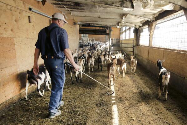 Jones Farm Supplies Livestock Feeding Equipment