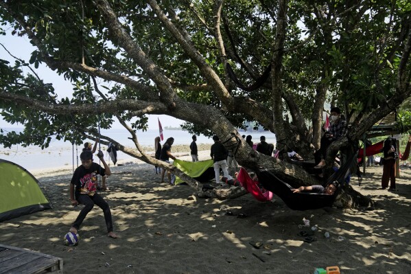 Tourists spend their time on a beach where maleos are known to lay their eggs, in Mamuju, West Sulawesi, Indonesia, Sunday, Oct. 29, 2023. With their habitat dwindling and nesting grounds facing encroachment from human activities, maleo populations have declined by more than 80% since 1980, an expert said.(AP Photo/Dita Alangkara)