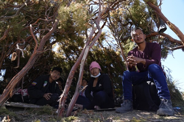 A group of asylum-seekers from Ecuador wait in a makeshift camp after crossing the nearby border with Mexico, Wednesday, Sept. 20, 2023, near Jacumba Hot Springs, Calif. Migrants continue to arrive to desert campsites along California's border with Mexico, as they await processing in tents made from tree branches. (AP Photo/Gregory Bull)
