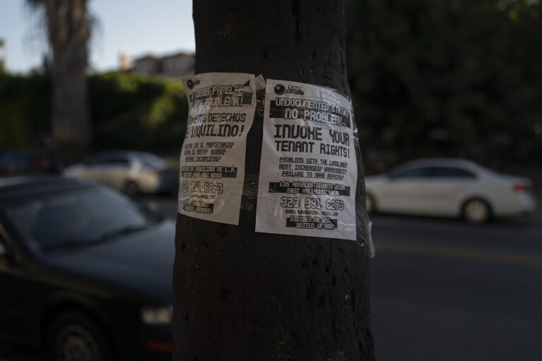 Flyers advocating tenants' rights are taped to a tree in Los Angeles, Wednesday, June 28, 2023. Pandemic job loss coupled with rising rents have pushed many California residents into desperate housing arrangements. (AP Photo/Jae C. Hong)