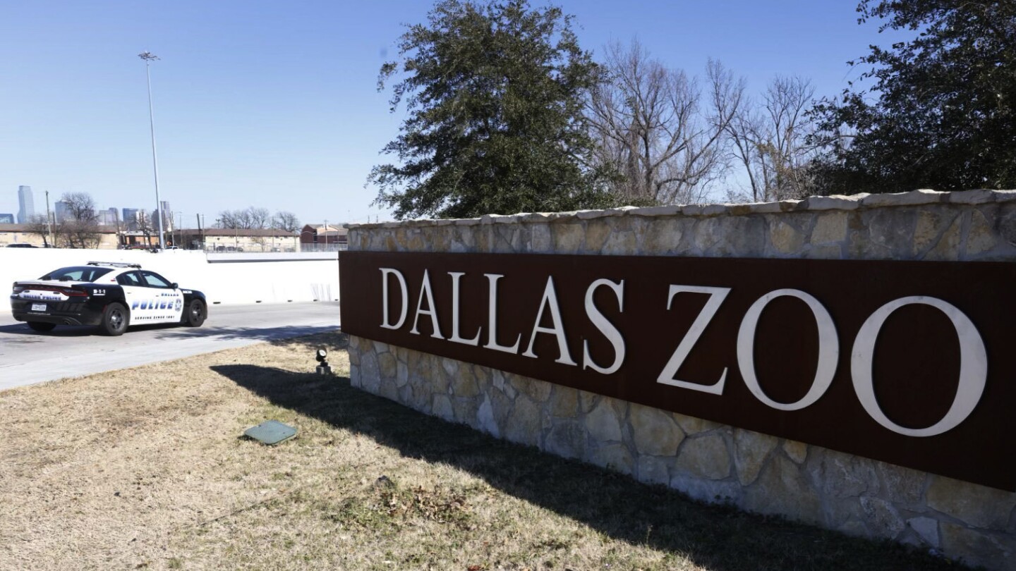 Някои обвинения бяха отхвърлени, след като мъжът, обвинен в зоологическата градина в Далас, беше признат за некомпетентен да бъде изправен пред съда