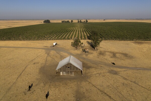 In this aerial photo is farmland in rural Solano County, Calif., Wednesday, Aug. 30, 2023. Silicon Valley billionaires and investors are behind a years-long, secretive land buying spree of more than 78 square miles (202 square kilometers) of farmland in Solano County with the goal of creating a new city. (AP Photo/Godofredo A. Vásquez)