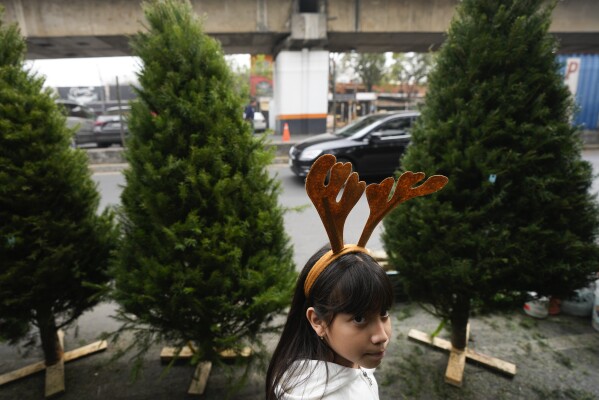A girl wearing a reindeer antlers headband shops for a Christmas tree with her family at the Jamaica market, in Mexico City, Thursday, Dec. 14, 2023. (AP Photo/Fernando Llano)